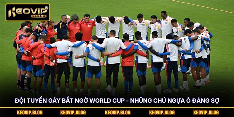 Đội Tuyển Gây Bất Ngờ World Cup - Những Chú Ngựa Ô Đáng Sợ